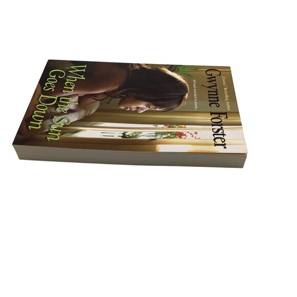 When The Sun Goes Down By Gwynne Forster Paperback 2010 Fiction Novel - Picture 11 of 11